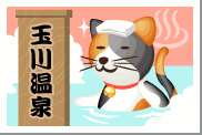 1671799319277.gif