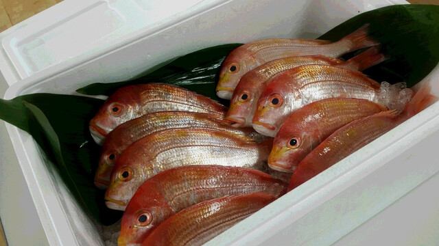 20150321_115459.jpg
