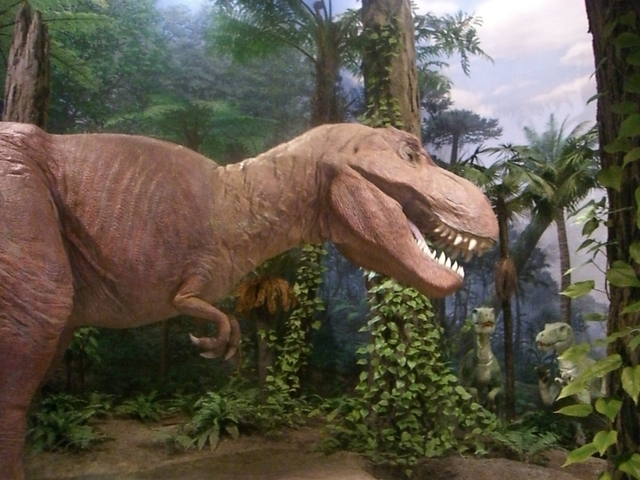 32583_2_xl.jpg