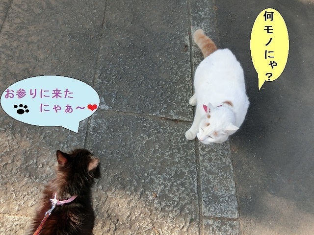 a033.jpg