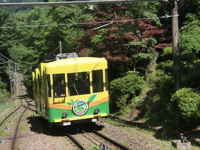 a122.jpg