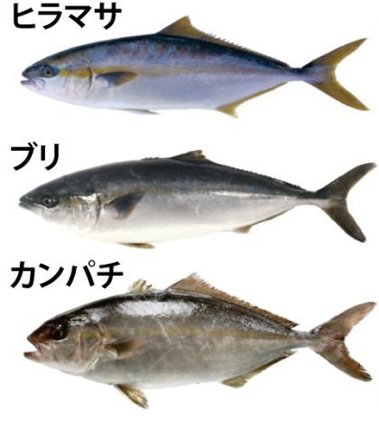 burirui.jpg